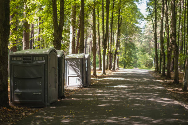 Best Porta potty rental near me  in El Dorado Hills, CA